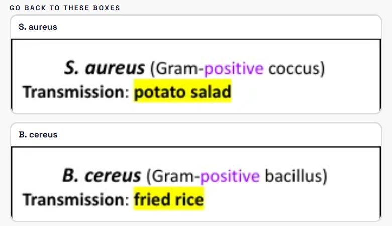 After a missed question, the app shows the S. aureus and B. cereus boxes from Phoebe's guide, Gram-positive in purple and the answers highlighted