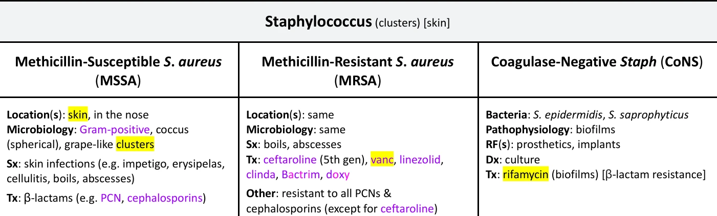 Phoebe's Infectious Disease guide: MSSA, MRSA and CoNS in side-by-side boxes, Gram-positive written in purple