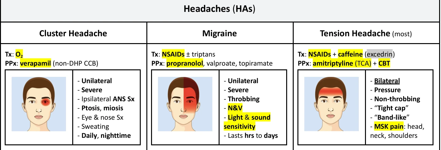 Phoebe's Neurology guide: cluster, migraine and tension headaches side by side, each with a face diagram and highlighted treatments