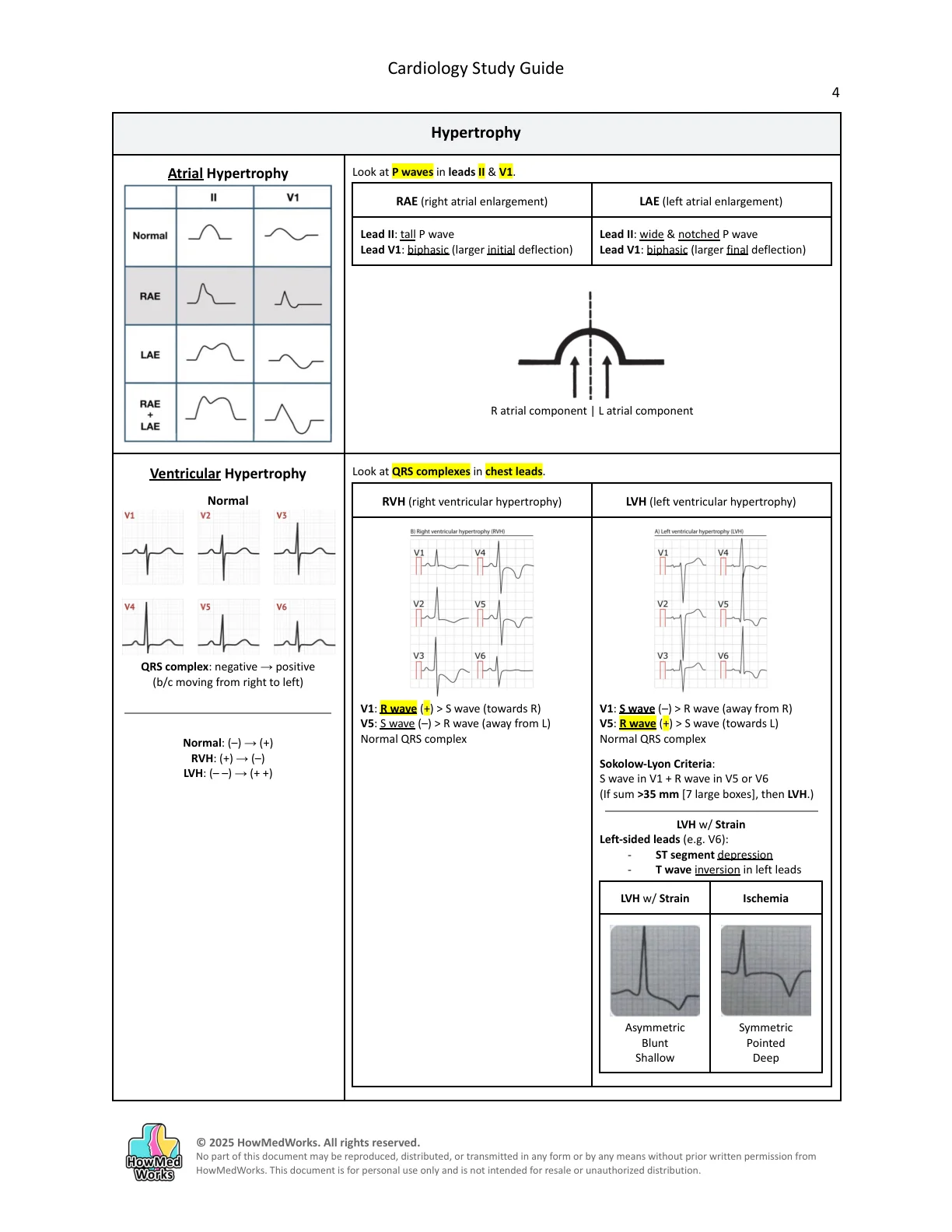 Cardiology study guide, page 4