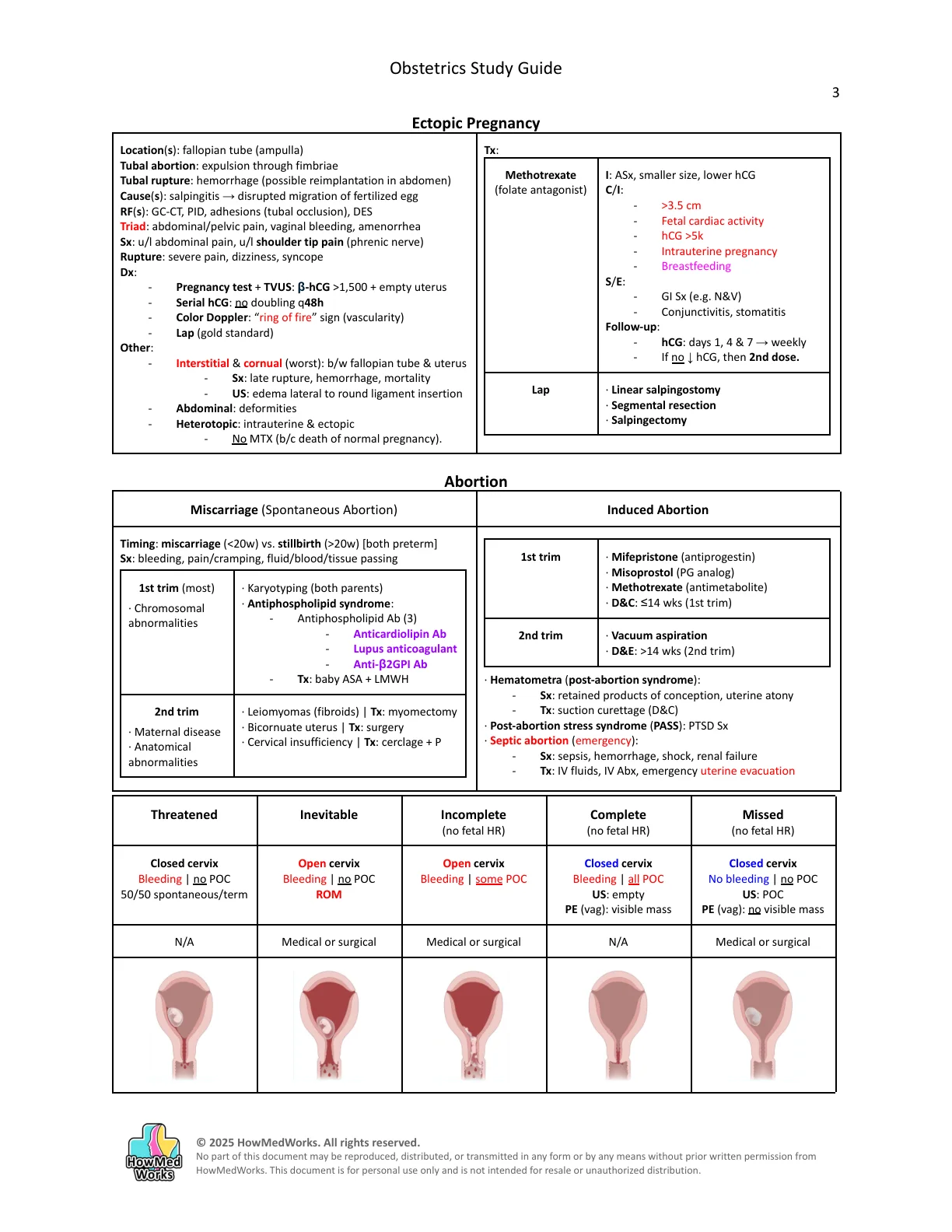 Obstetrics study guide, page 3